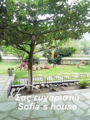 Sofia'S House Apartment Palaiontsiflikion Exterior photo